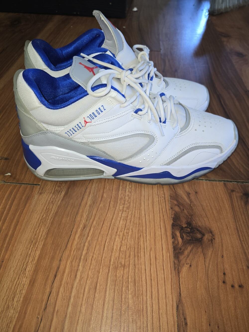 Size 13 - Air Jordan Point Lane True Blue